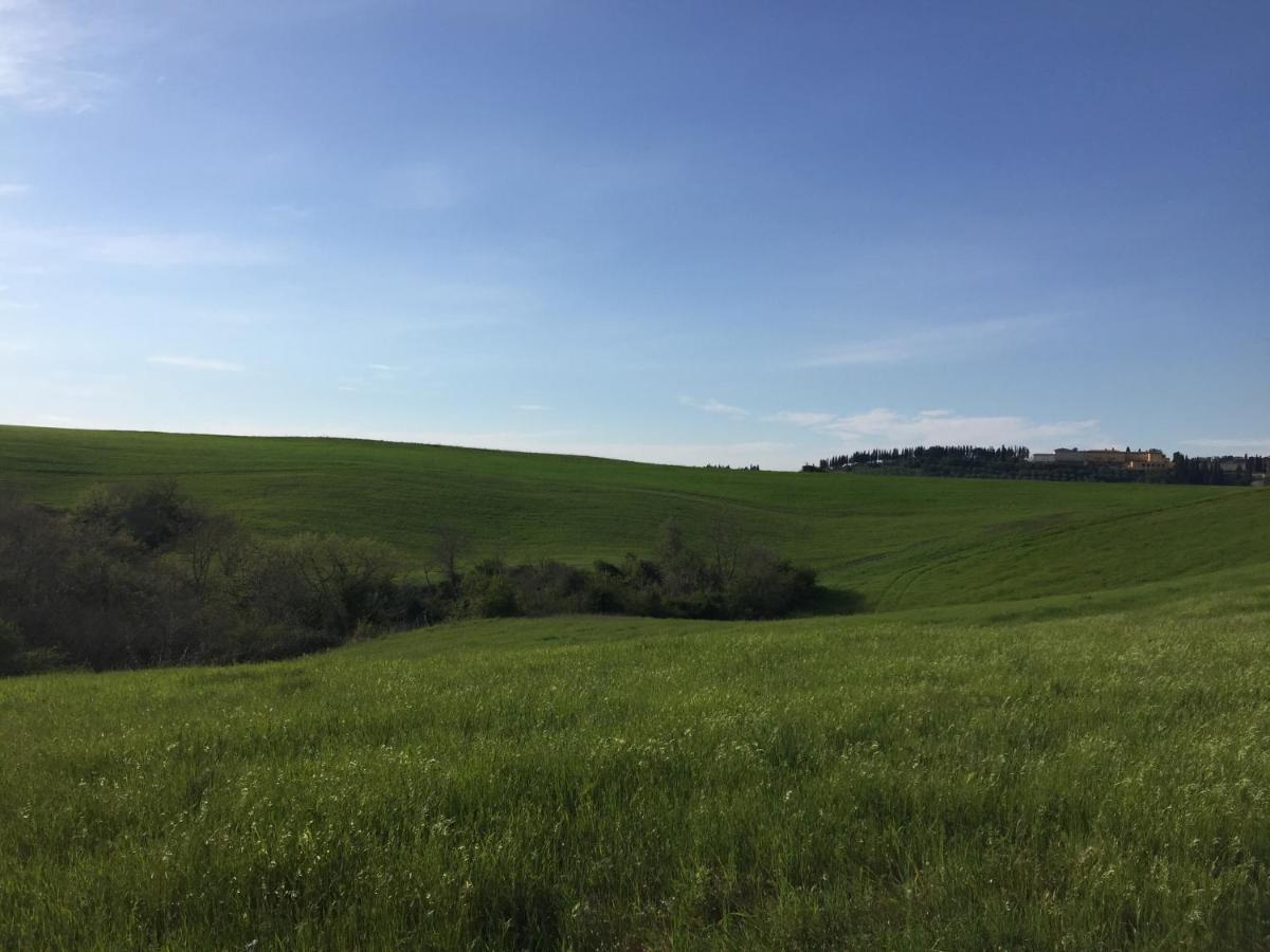 Agriturismo San Leone Volterra Exteriér fotografie